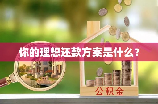 物业你的理想还款方案是什么？